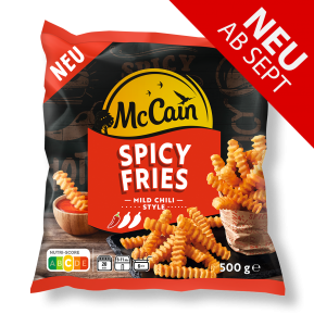 Spicy Fries