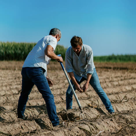 agriculture